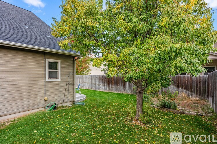 A tree in a yard with a house in the background.