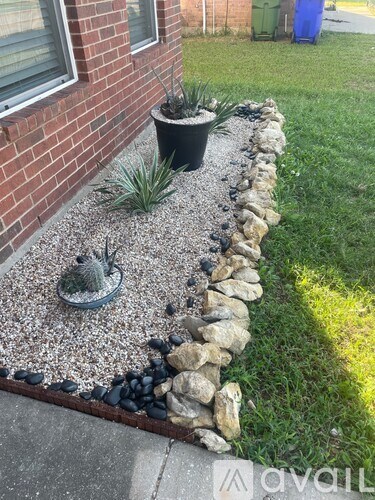 A garden bed with a stone wall and a cactus.