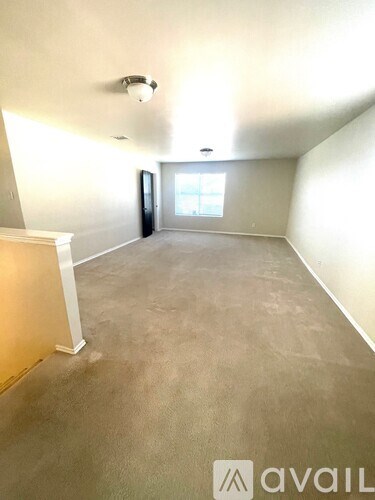 A room with a carpeted floor and a window.