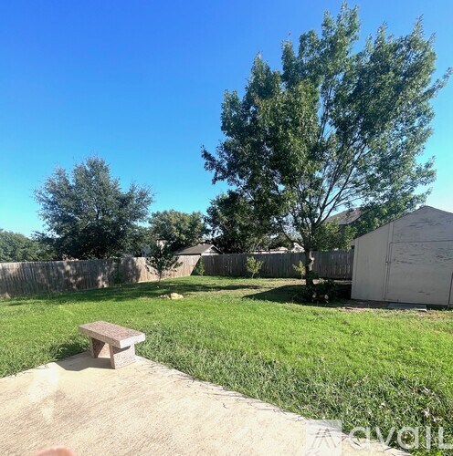 A backyard with a bench and a tree.