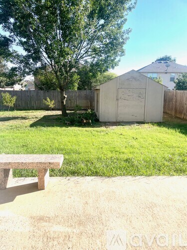 A backyard with a bench, a tree, and a shed.