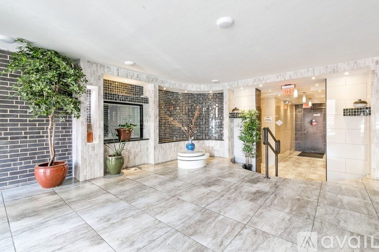 A lobby with a large potted plant on the left and a small one on the right.