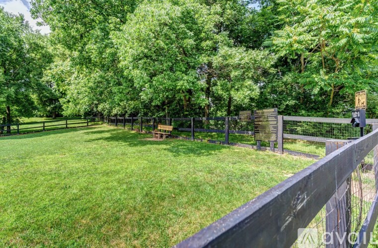 A backyard with a fence and a green lawn.