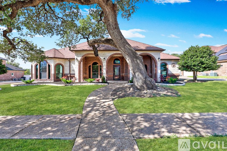 A large tree in front of a house with a walkway leading to the front door.