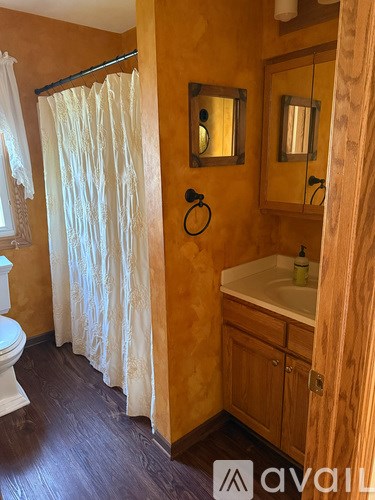 A bathroom with a toilet, sink, and shower curtain.