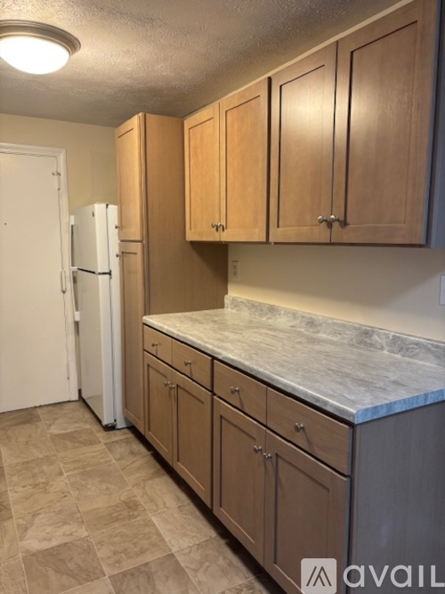 A kitchen with wooden cabinets and a marble countertop.