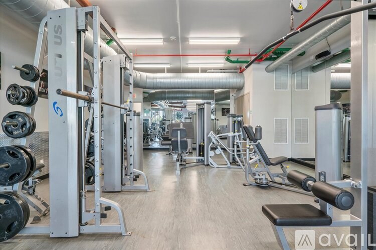 A gym with a variety of equipment including a squat rack and a bench press.