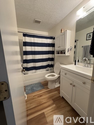 A bathroom with a toilet, sink, and striped shower curtain.