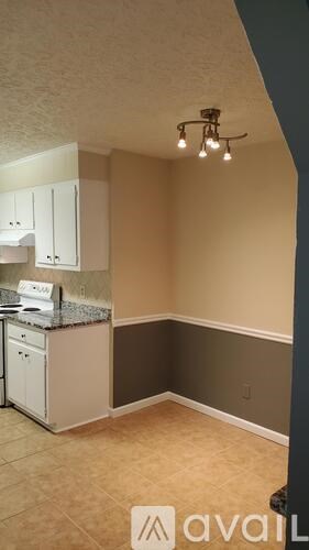 A kitchen area with a counter and cabinets.