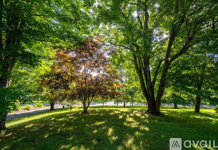 A tree with brown leaves is in the middle of a grassy area.