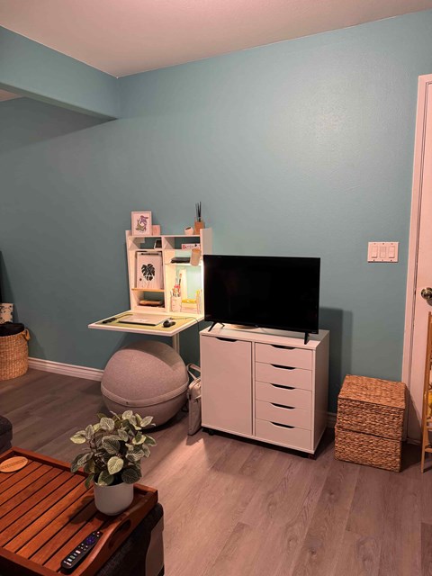 A living room with a TV, a cabinet, and a plant.