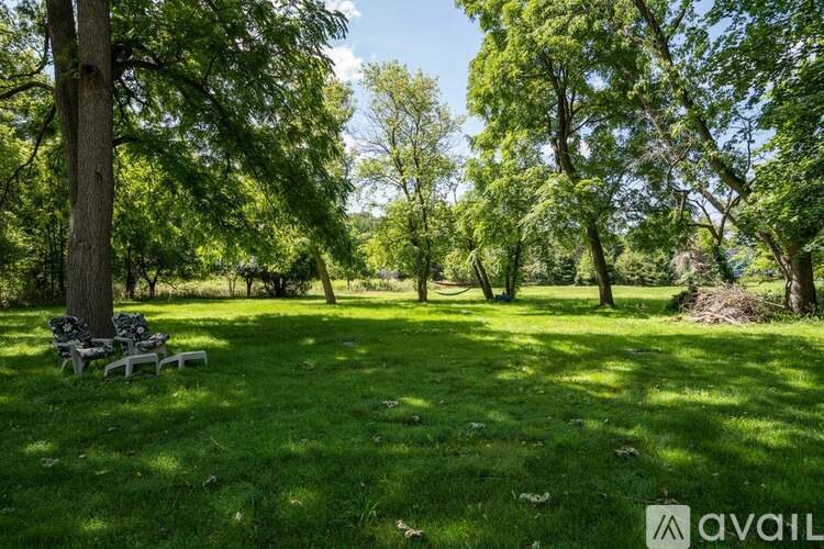 A sunny day in a park with green grass and trees.