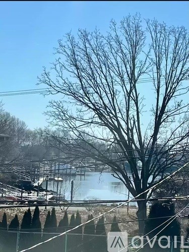 A tree with no leaves stands in front of a body of water.