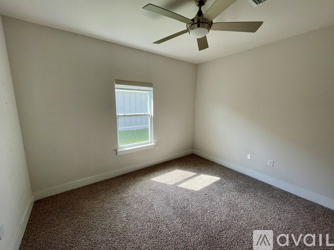 A room with a carpet floor, a ceiling fan, and a window letting in sunlight.