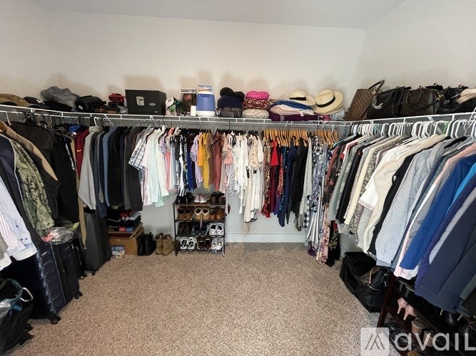 A room with a carpeted floor and a large closet full of clothes and shoes.