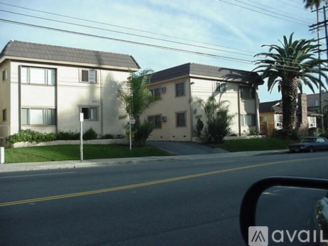 A street view with houses and a palm tree.