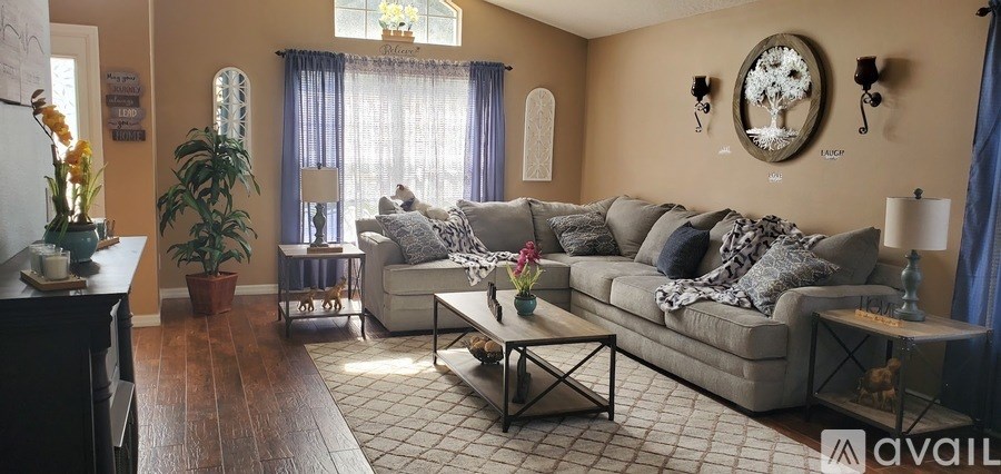 A living room with a grey sofa and a coffee table.