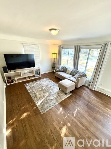 A living room with a television, couch, and rug.