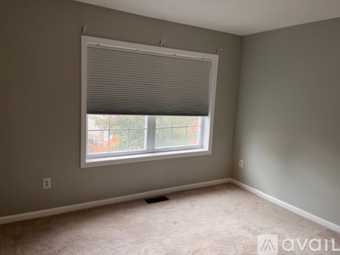 A room with a window covered by blinds and a carpet on the floor.