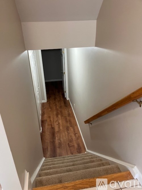 A staircase with wooden steps and a beige carpet.
