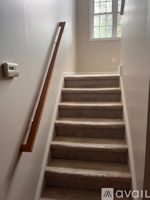 A staircase with a beige carpet and wooden handrail.