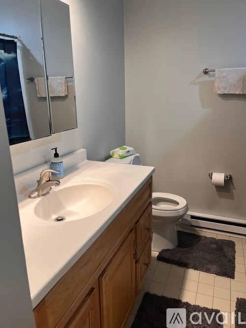 A bathroom with a sink, toilet, and mirror.