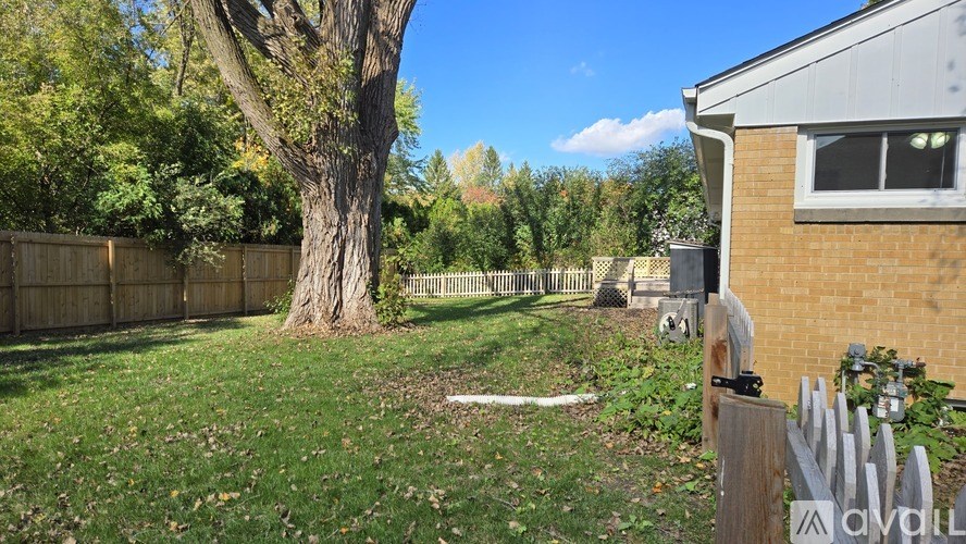 A backyard with a fence, a tree, and a house.