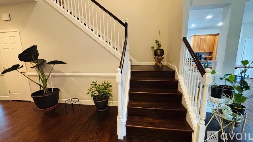 A staircase with a white railing and wooden steps.