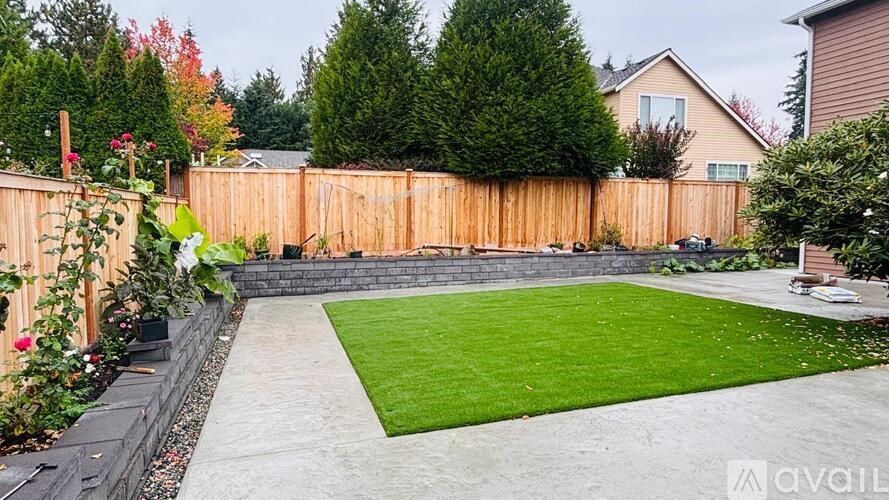A backyard with a wooden fence and a green lawn.