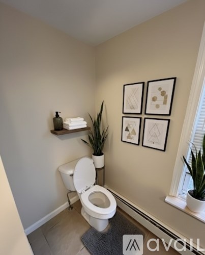 A white toilet in a bathroom with a grey rug and a plant.