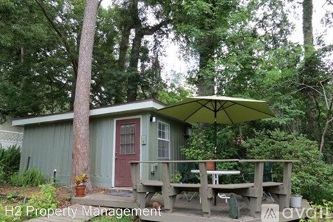 A green shed with a red door and a green umbrella.