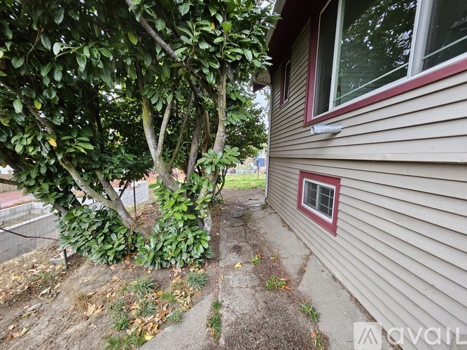 A tree with green leaves is in front of a house.
