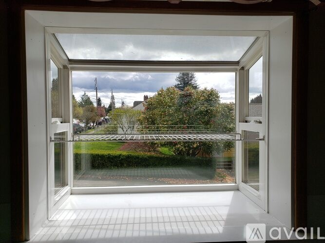 A view from inside a room looking out to a garden through a glass door.
