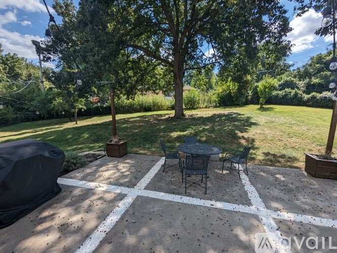 A backyard with a white X painted on the ground.