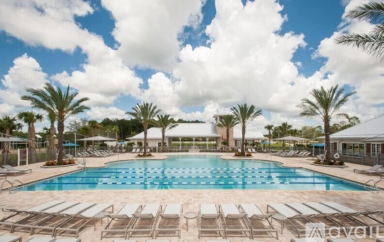 A large pool surrounded by palm trees and sun loungers.