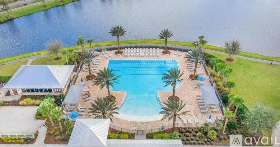 An aerial view of a pool surrounded by palm trees and a house with a blue roof.