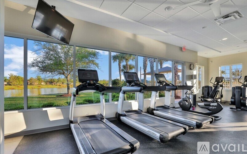 A gym with treadmills, elliptical machines, and a television.