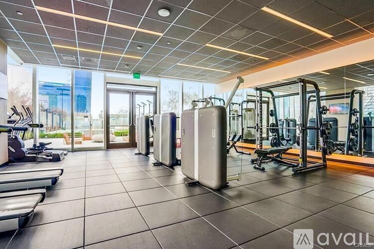 A gym with treadmills, weights, and exercise machines.