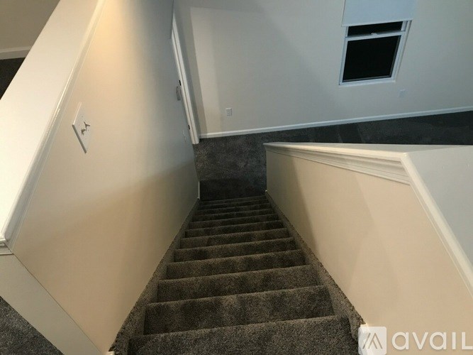 A staircase with a carpeted runner and a skylight above.