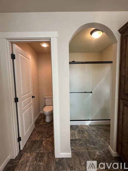 A bathroom with a toilet and a walk-in shower.