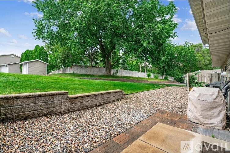 A backyard with a gravel path and a tree.