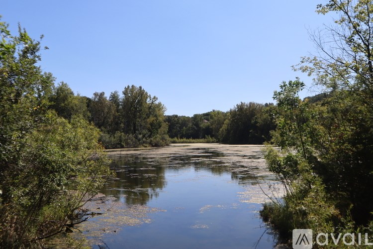 A calm river surrounded by greenery under a clear blue sky.