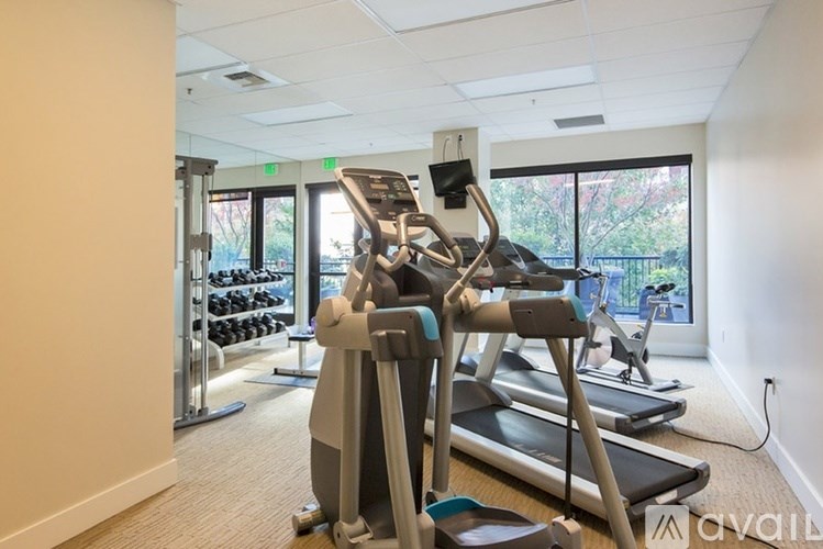 A gym with treadmills, weights and exercise equipment.