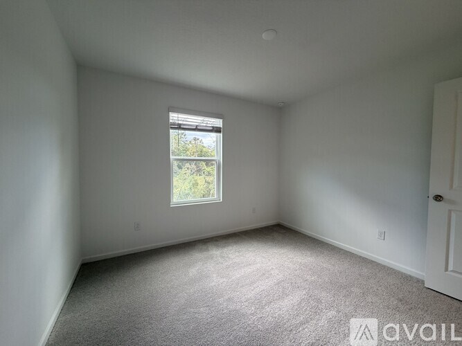 A room with a carpeted floor and a window showing greenery outside.