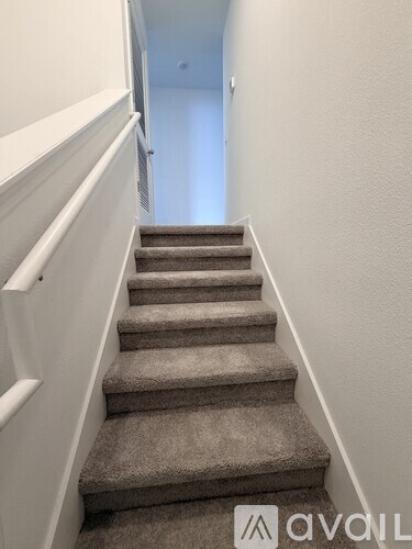 A staircase with a carpeted runner and white risers.