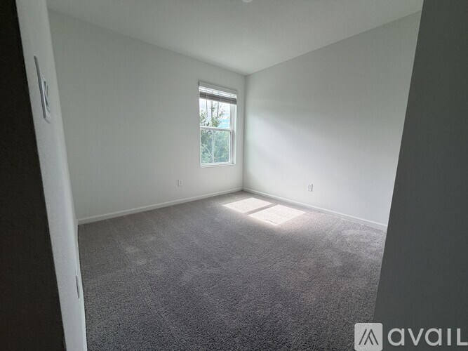 A room with a carpeted floor and a window letting in natural light.