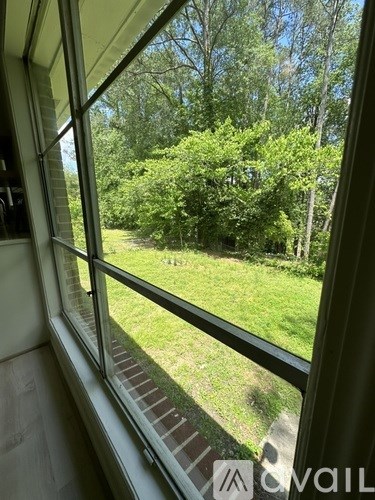 A view from a window looking out to a green lawn and trees.