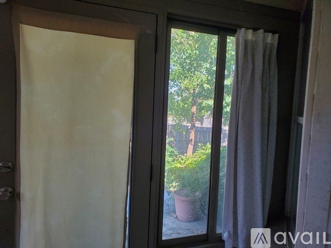 A window with a view of a garden outside.