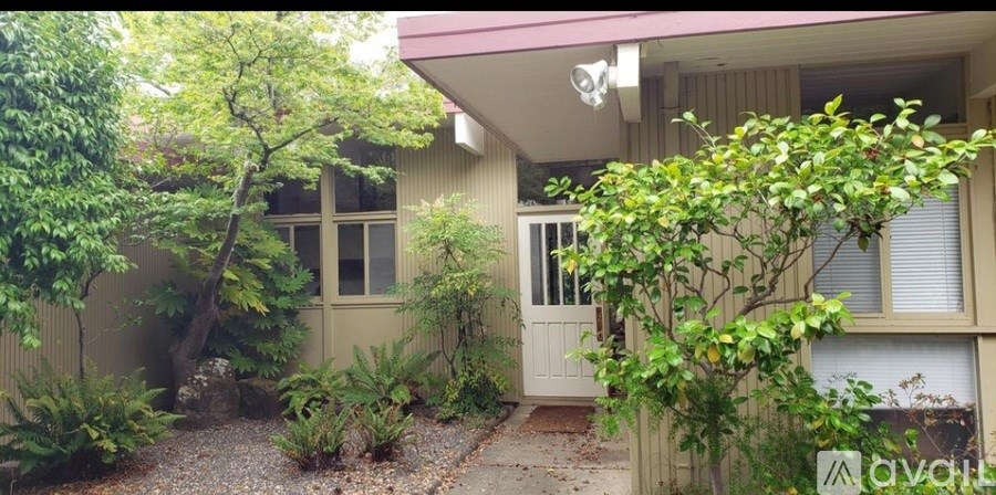 A tree with green leaves is in front of a house.