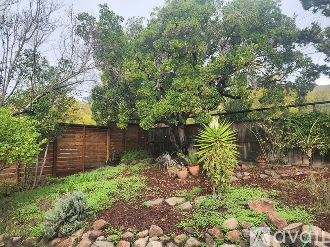 A garden with a variety of plants and rocks in the foreground.